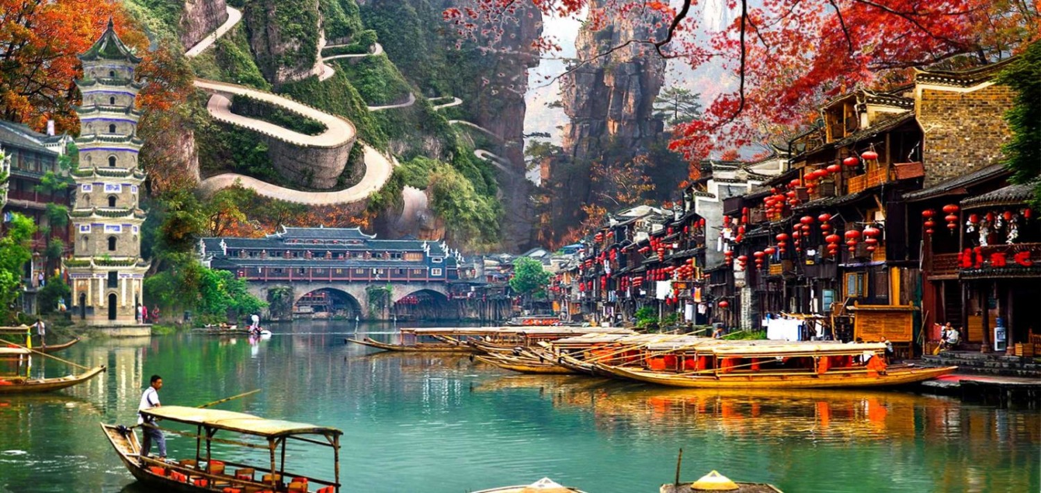truong gia gioi web (1)