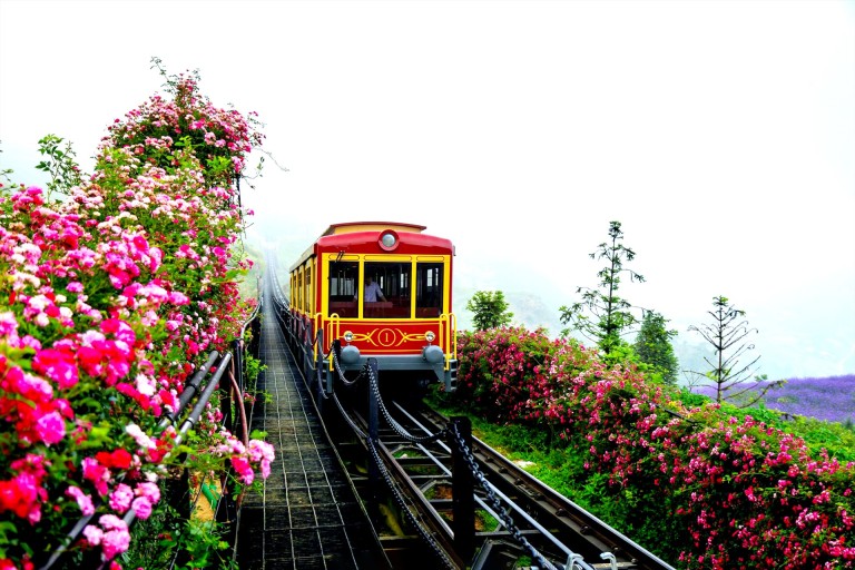 Du lịch Sapa - Fansipan 2 Ngày 1 Đêm