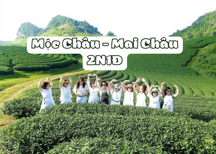Tour Mộc Châu-Mai Châu 2 Ngày 1 Đêm.